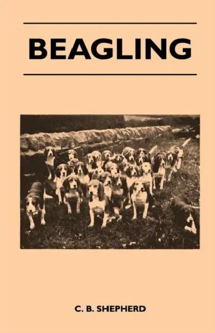 Beagling by C. B. Shepherd