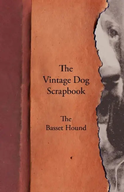 The Vintage Dog Scrapbook - The Basset Hound by Various