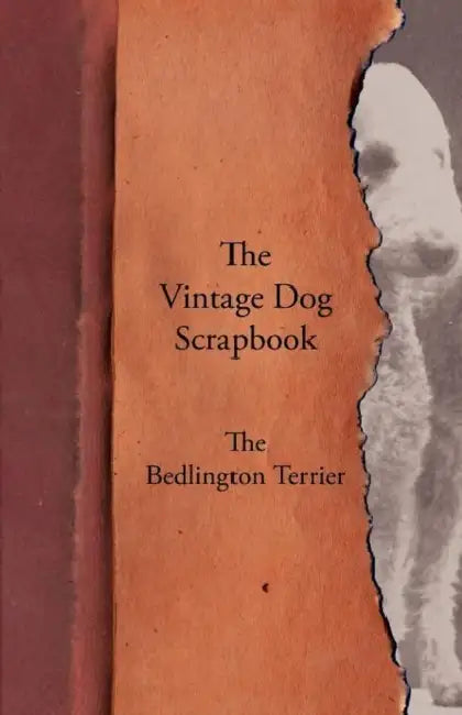 The Vintage Dog Scrapbook - The Bedlington Terrier by Various