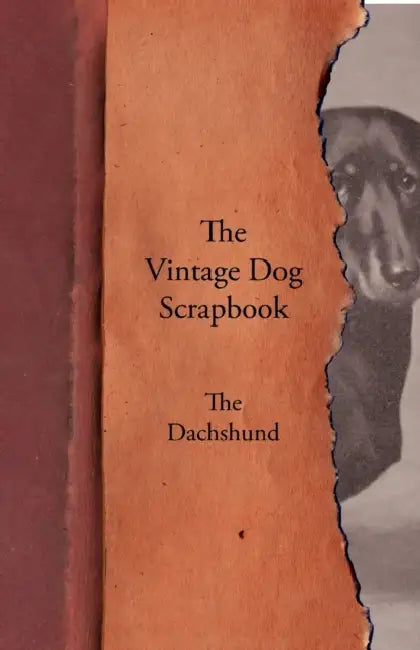 The Vintage Dog Scrapbook - The Dachshund by Various