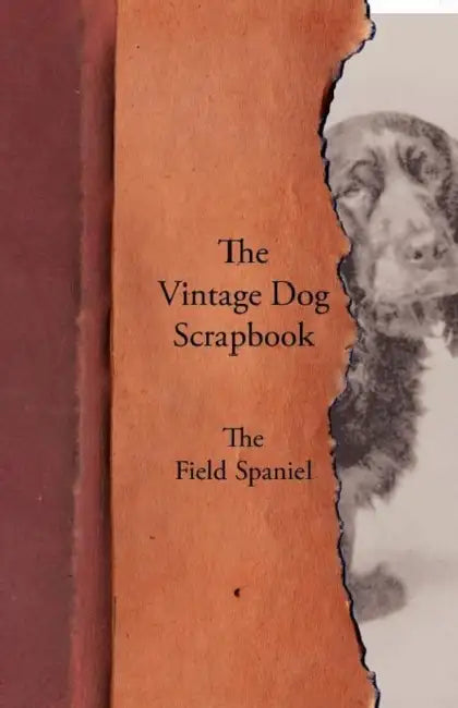The Vintage Dog Scrapbook - The Field Spaniel by Various