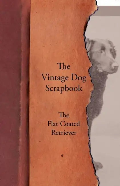 The Vintage Dog Scrapbook - The Flat Coated Retriever by Various