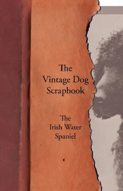 The Vintage Dog Scrapbook - The Irish Water Spaniel by Various