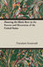 Hunting the Black Bear in the Forests and Mountains of the United States by IV Roosevelt Theodore