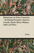 Badminton in Other Countries - Including Denmark, America, Canada, South Africa, Malaya, India and More by Anon