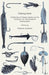 Fishing Rods - A Selection of Classic Articles on the Varieties, Use and Repair of Fishing Rods (Angling Series) by Various
