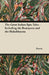 The Great Indian Epic Tales - Including the Ramayana and the Mahabharata by Anon