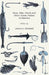 Bass, Pike, Perch and Other Game Fishes of America by James a. Henshall