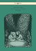 Tales From Grimm - Freely Translated and Illustrated by Wanda Gag by Brothers Grimm, Wanda Gag