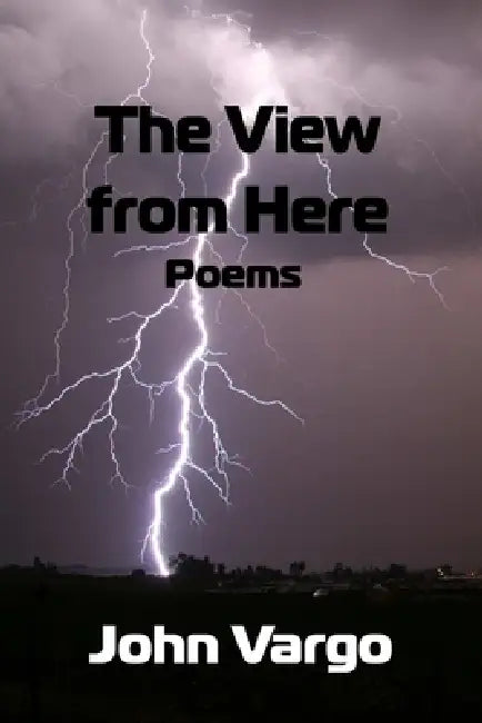 The View From Here  Poems by John Vargo