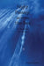 Night Passage across the Sea by Ralph Pordzik