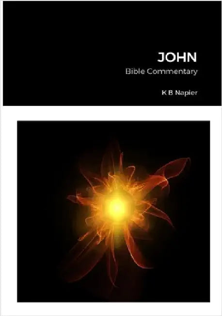 John: Bib le Commentary by Napier, K. B.
