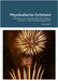 Physikalische Gefahren: Reaktion von pyrotechnischen Sätzen, Schwarz- und Treibladungspulver by Kurth, Lutz