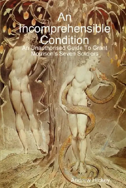 An Incomprehensible Condition: An Unauthorised Guide To Grant Morrison's Seven Soldiers by Andrew Hickey