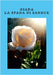 Giada La Spada Di Sangue by Munisso, Massimo
