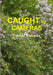 Caught By Cameras by Trevor Roberts