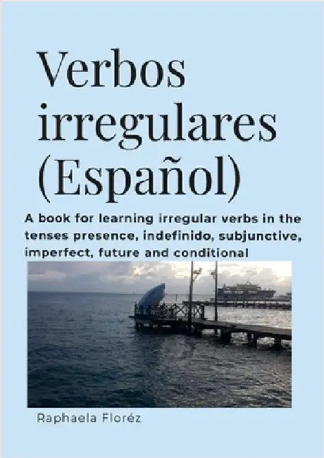 Verbos irregulares (Español): A book for learning verbs in the tenses presence, indefinido, subjective, imperfect, future and conditional by Floréz, Raphaela