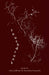 Touch Drunk by Reka Jellema, Brendan Bonsack