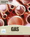 NVQ level 3 Diploma Gas Pathway Candidate handbook by JTL Training JTL