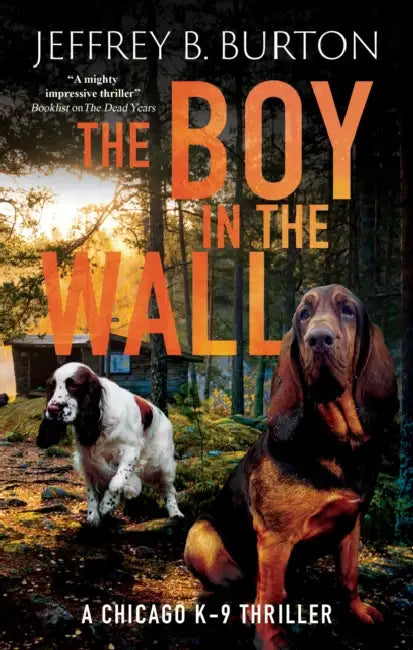The Boy in the Wall by Jeffrey B. Burton