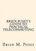 Brien Posey's Guide to Practical Telecommuting by Brien M. Posey
