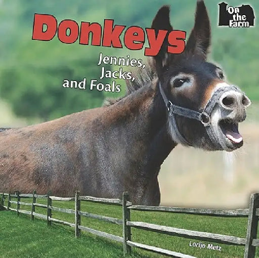 Donkeys by Lorijo Metz