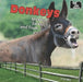 Donkeys by Lorijo Metz