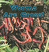 Worms Are Gross! by Leigh Rockwood