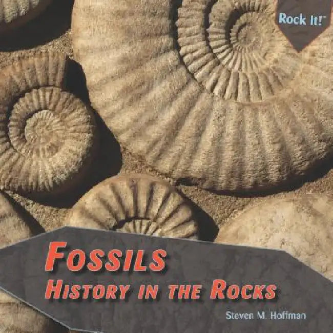 Fossils by Steven M. Hoffman
