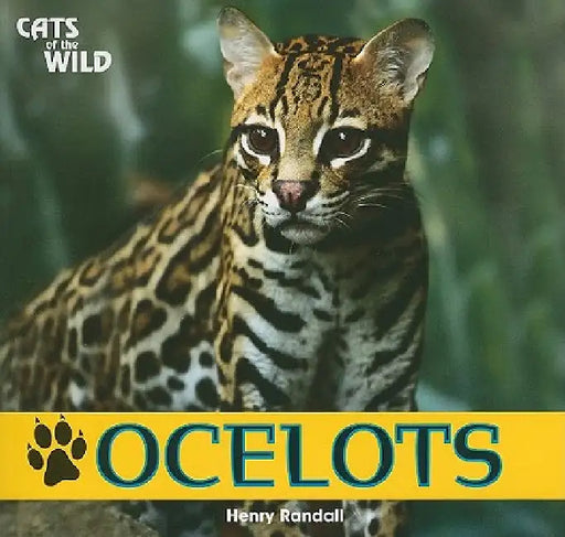 Ocelots by Henry Randall