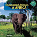 Endangered Animals of Africa by Marie Allgor