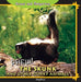 Phew! the Skunk and Other Stinky Animals by Greg Roza