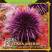 Poke! the Sea Urchin and Other Animals with Spikes by Greg Roza