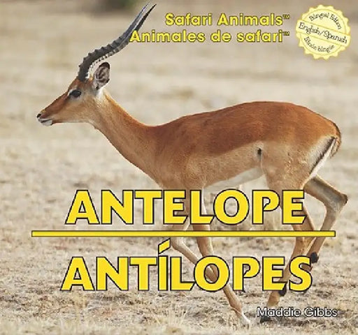 Antelope / Antílopes by Maddie Gibbs