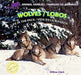 Wolves: Life in the Pack / Lobos: Vida En La Manada by Willow Clark