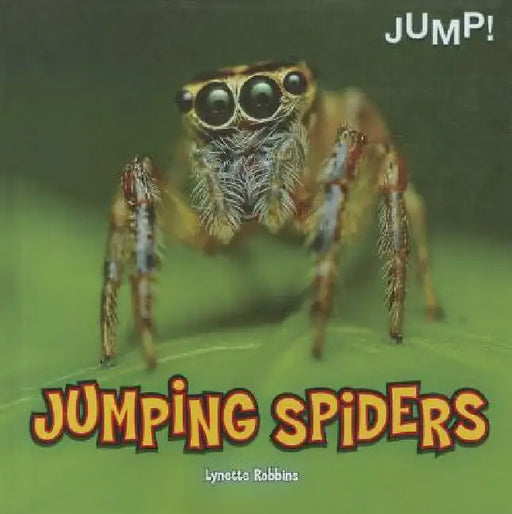 Jumping Spiders by Lynette Robbins