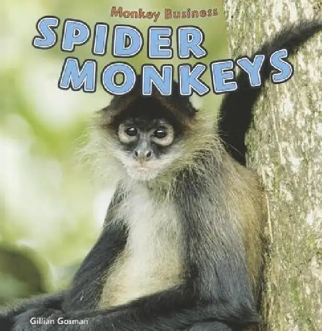 Spider Monkeys by Gillian Houghton Gosman