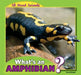 What's an Amphibian? by Anna Kaspar