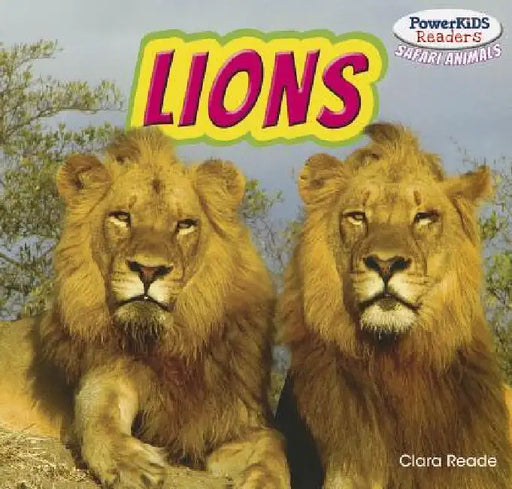 Lions by Clara Reade