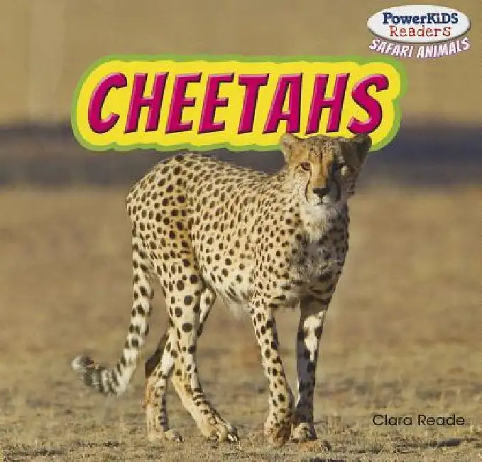 Cheetahs by Clara Reade