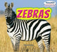 Zebras by Clara Reade