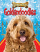 Goldendoodles by Ruth Owen