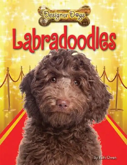 Labradoodles by Ruth Owen