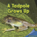A Tadpole Grows Up by Annabelle Gold
