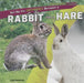 Tell Me the Difference Between a Rabbit and a Hare by Leigh Rockwood