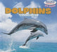 Dolphins by Sam Drumlin