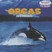 Orcas by Sam Drumlin