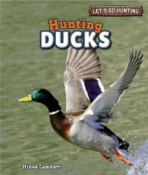 Hunting Ducks by Hines Lambert