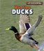 Hunting Ducks by Hines Lambert