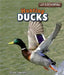 Hunting Ducks by Hines Lambert